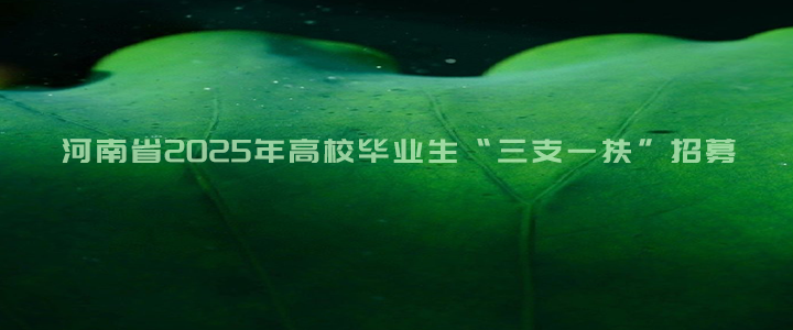ӡ(zhn)C2025699:006149:00g䛾W(wng)վдӡ